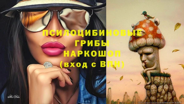 мдпв Верея